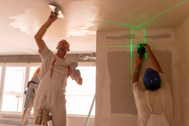 Best Ceiling Drywall Installation  in Eau Claire, WI